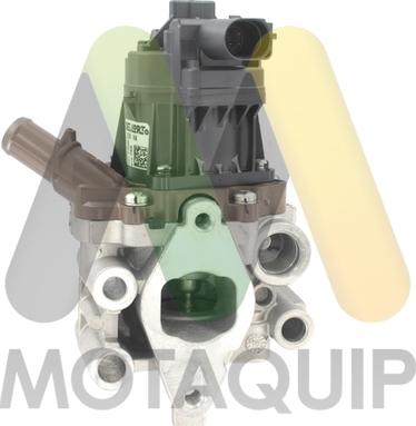 Motaquip LVER366 - EGR ventil www.molydon.hr