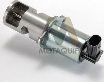 Motaquip LVER310 - EGR ventil www.molydon.hr