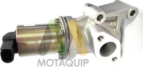 Motaquip LVER313 - EGR ventil www.molydon.hr