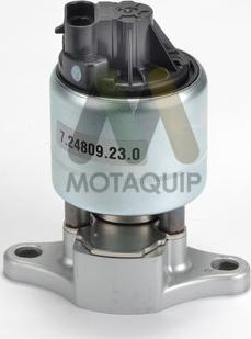 Motaquip LVER320 - EGR ventil www.molydon.hr