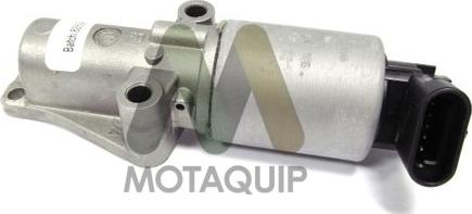 Motaquip LVER299 - EGR ventil www.molydon.hr