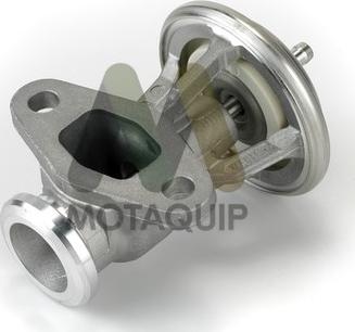 Motaquip LVER251 - EGR ventil www.molydon.hr