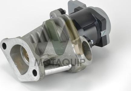 Motaquip LVER239 - EGR ventil www.molydon.hr