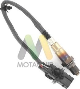 Motaquip LVOS1164 - Lambda-sonda www.molydon.hr