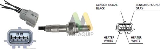 Motaquip LVOS2025 - Lambda-sonda www.molydon.hr