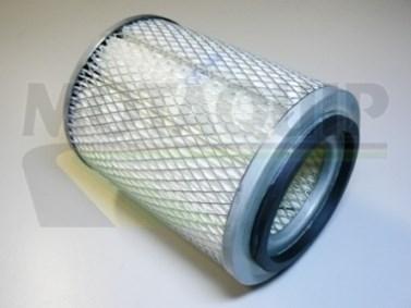 Motaquip VFA66 - Filter za zrak www.molydon.hr