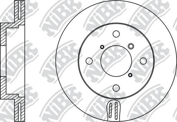 NiBK RN1129 - Kočioni disk www.molydon.hr