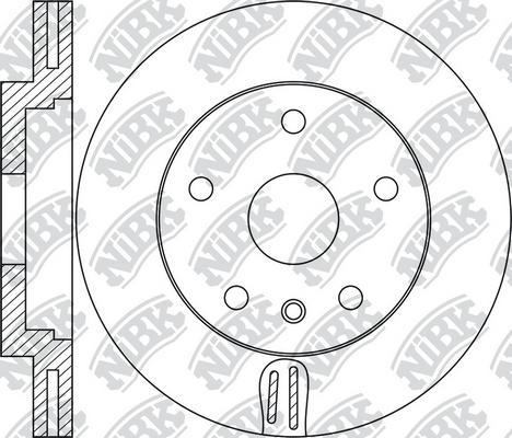 Delphi BG9079 - Kočioni disk www.molydon.hr