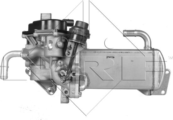 NRF 48209 - EGR ventil www.molydon.hr