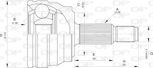 Open Parts CVJ5580.10 - Kardan, Pogonska osovina www.molydon.hr