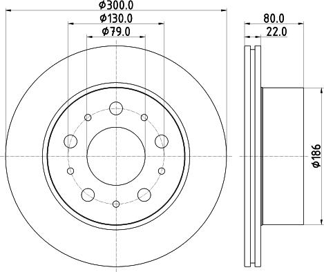 Pagid 55843 - Kočioni disk www.molydon.hr