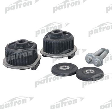 Patron PSE11080 - Set za popravak, tijelo osovine www.molydon.hr