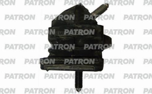 Patron PSE30534 - Nosač motora www.molydon.hr