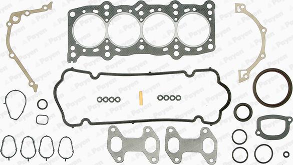 Payen FE5240 - Kompletan set brtvi, motor www.molydon.hr