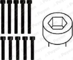 Payen HBS161 - Garnitura vijaka za pričvršćivanje glave cilindra www.molydon.hr