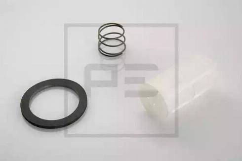 PE Automotive 000.251-00A - Filter za gorivo www.molydon.hr