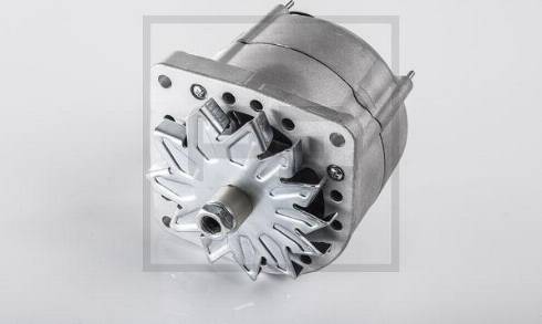 PE Automotive 080.053-00A - Alternator www.molydon.hr