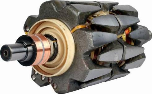 PowerMax 81116525 - Rotor, alternator www.molydon.hr