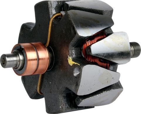 PowerMax 81111676 - Rotor, alternator www.molydon.hr