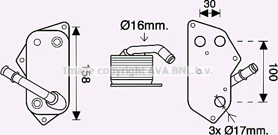 Prasco BW3558 - Uljni hladnjak, ulje za motor www.molydon.hr