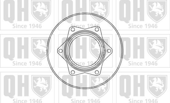 Quinton Hazell BDC5123 - Kočioni disk www.molydon.hr