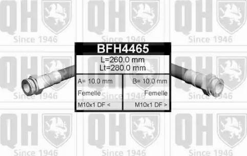Quinton Hazell BFH4465 - Kočiono crijevo, lajtung www.molydon.hr