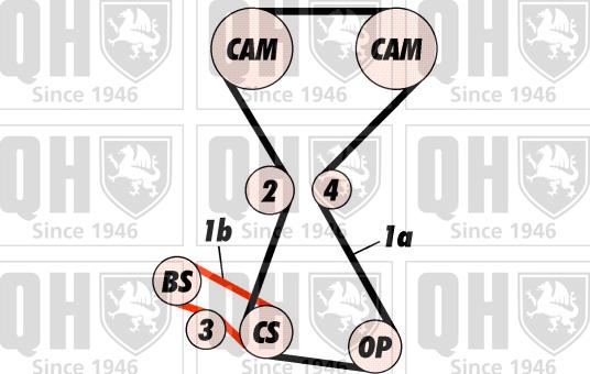 Quinton Hazell QBK520 - Komplet zupčastog remena www.molydon.hr