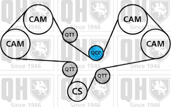 Quinton Hazell QBK833 - Komplet zupčastog remena www.molydon.hr