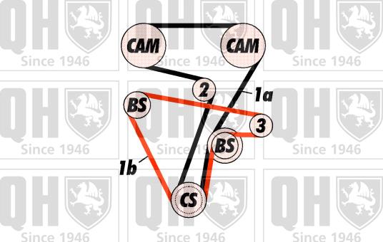 Quinton Hazell QBK316 - Komplet zupčastog remena www.molydon.hr