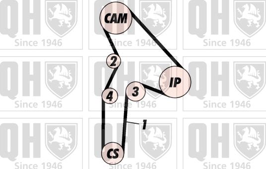 Quinton Hazell QBK254 - Komplet zupčastog remena www.molydon.hr