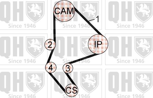 Quinton Hazell QBK795 - Komplet zupčastog remena www.molydon.hr