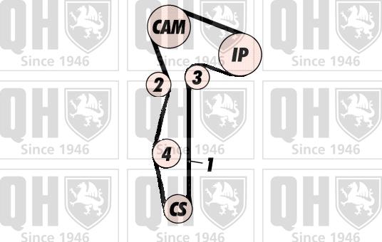 Quinton Hazell QBK704 - Komplet zupčastog remena www.molydon.hr