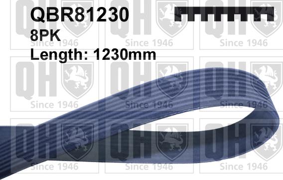 Quinton Hazell QBR81230 - Klinasti rebrasti remen  www.molydon.hr