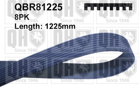 Quinton Hazell QBR81225 - Klinasti rebrasti remen  www.molydon.hr