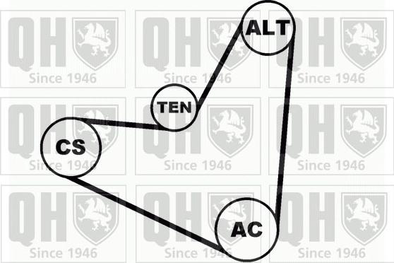 Quinton Hazell QDK11 - Garnitura klinastog rebrastog remena www.molydon.hr