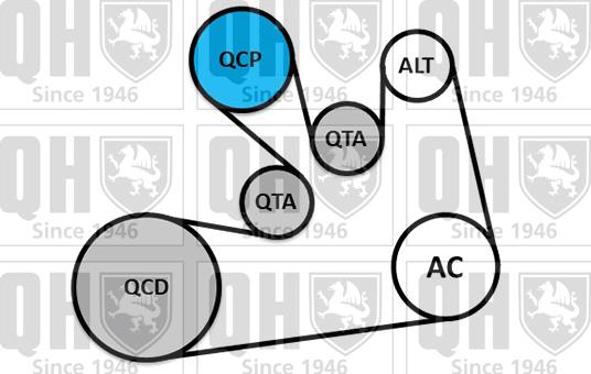 Quinton Hazell QDK185 - Garnitura klinastog rebrastog remena www.molydon.hr