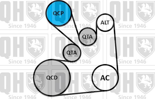 Quinton Hazell QDK130 - Garnitura klinastog rebrastog remena www.molydon.hr
