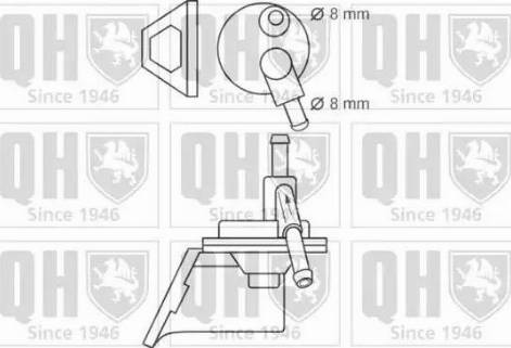 Quinton Hazell QFP6 - Pumpa za gorivo www.molydon.hr