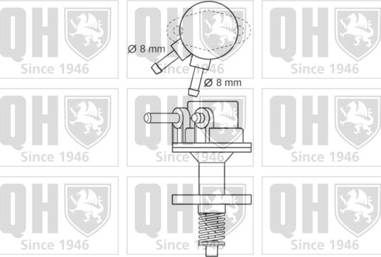 Quinton Hazell QFP141 - Pumpa za gorivo www.molydon.hr