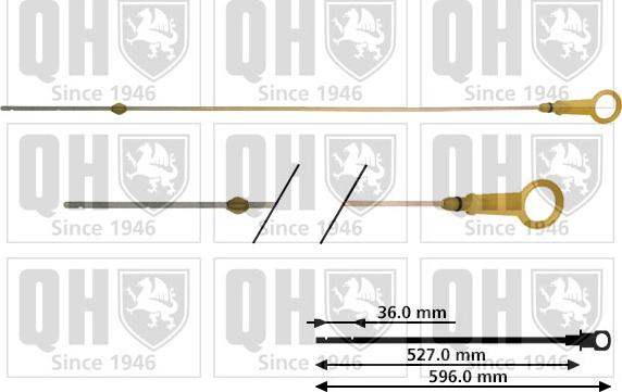 Quinton Hazell QOD128 - Šipka za mjerenje ulja www.molydon.hr