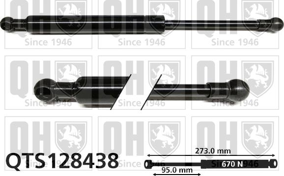 Quinton Hazell QTS128438 - Plinski amortizer, prtljaznik/utovarni prostor www.molydon.hr