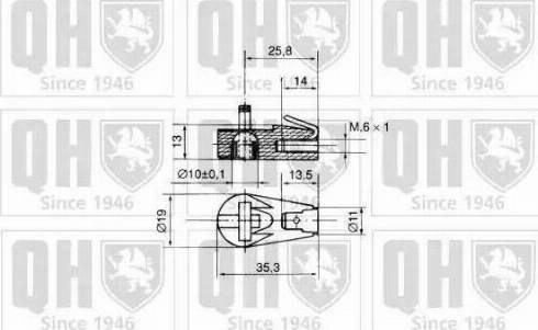 Quinton Hazell QTS128021 - Plinski amortizer, prtljaznik/utovarni prostor www.molydon.hr