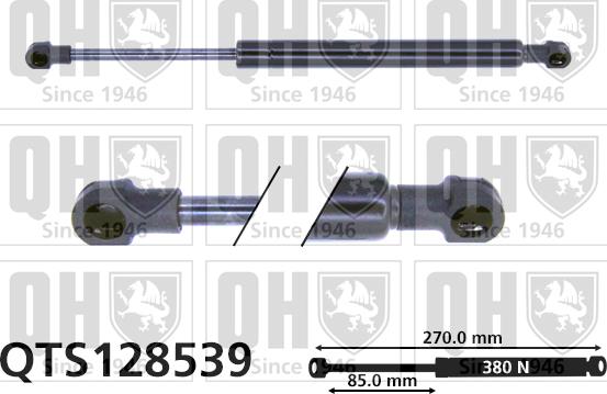 Quinton Hazell QTS128539 - Plinski amortizer, prtljaznik/utovarni prostor www.molydon.hr