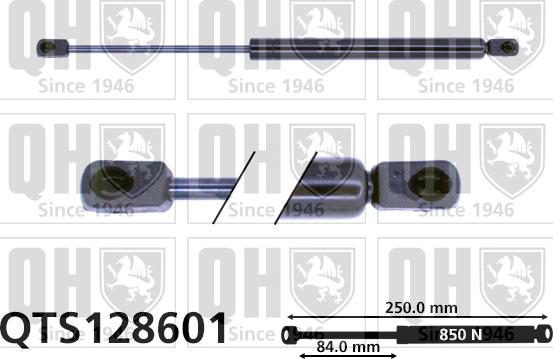 Quinton Hazell QTS128601 - Plinski amortizer, hauba motora www.molydon.hr