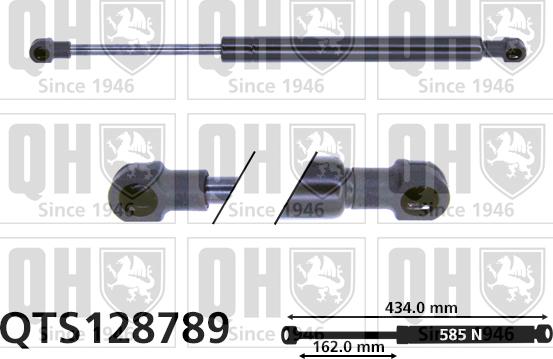 Quinton Hazell QTS128789 - Plinski amortizer, prtljaznik/utovarni prostor www.molydon.hr