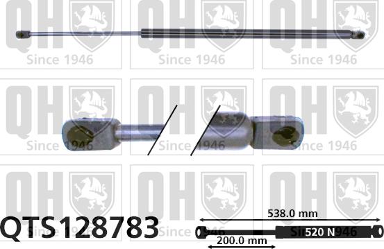 Quinton Hazell QTS128783 - Plinski amortizer, prtljaznik/utovarni prostor www.molydon.hr