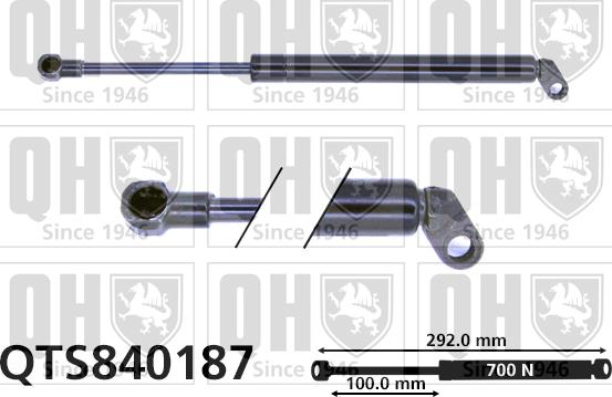 Quinton Hazell QTS840187 - Plinski amortizer, prtljaznik/utovarni prostor www.molydon.hr