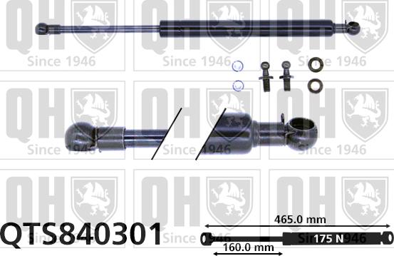 Quinton Hazell QTS840301 - Plinski amortizer, prtljaznik/utovarni prostor www.molydon.hr