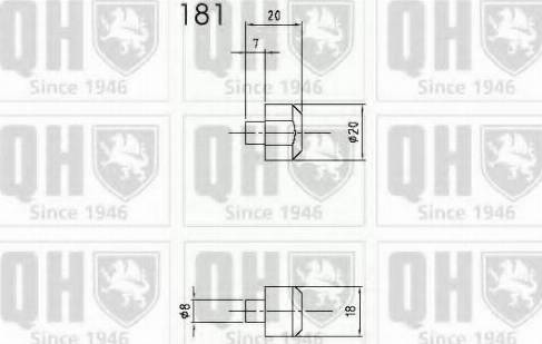 Quinton Hazell QTS840296 - Plinski amortizer, hauba motora www.molydon.hr