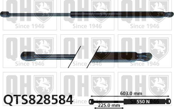 Quinton Hazell QTS828584 - Plinski amortizer, prtljaznik/utovarni prostor www.molydon.hr